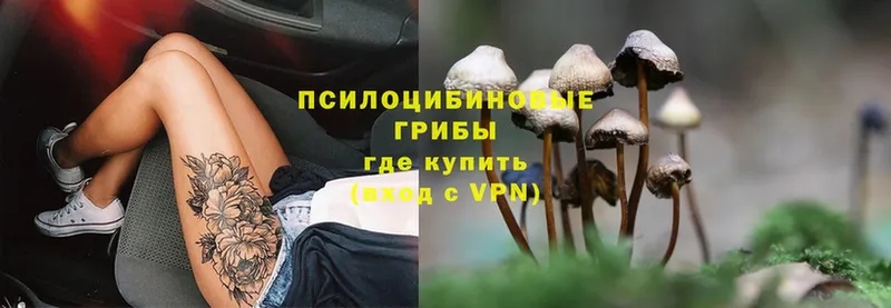 Галлюциногенные грибы Magic Shrooms  Исилькуль 